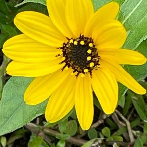 Meet your Posher, Jaimee